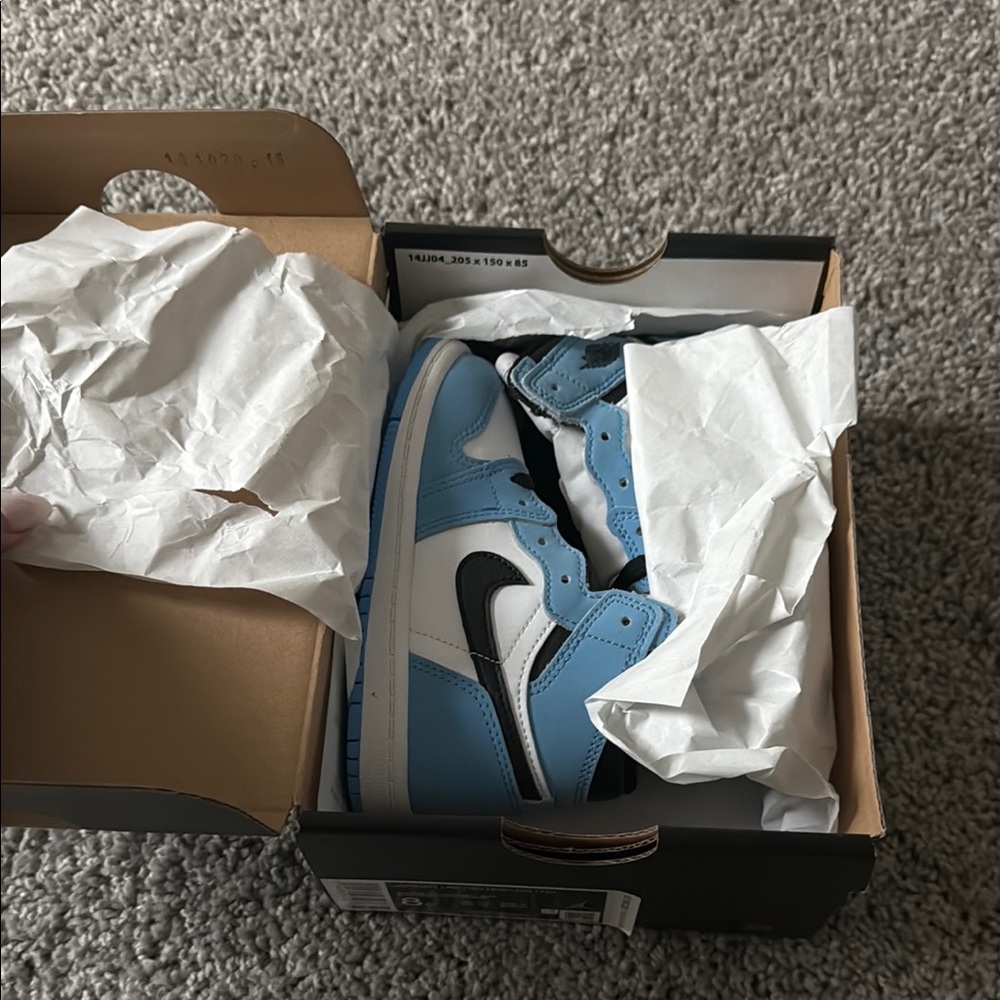 Jordan 1 University Blue TD